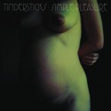 Tindersticks Simple Pleasure