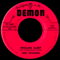 Jody Reynolds Endless Sleep