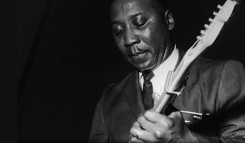 Muddy Waters photo